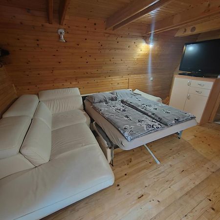 Koca Planika, Sviscaki Villa Ilirska Bistrica Exteriör bild