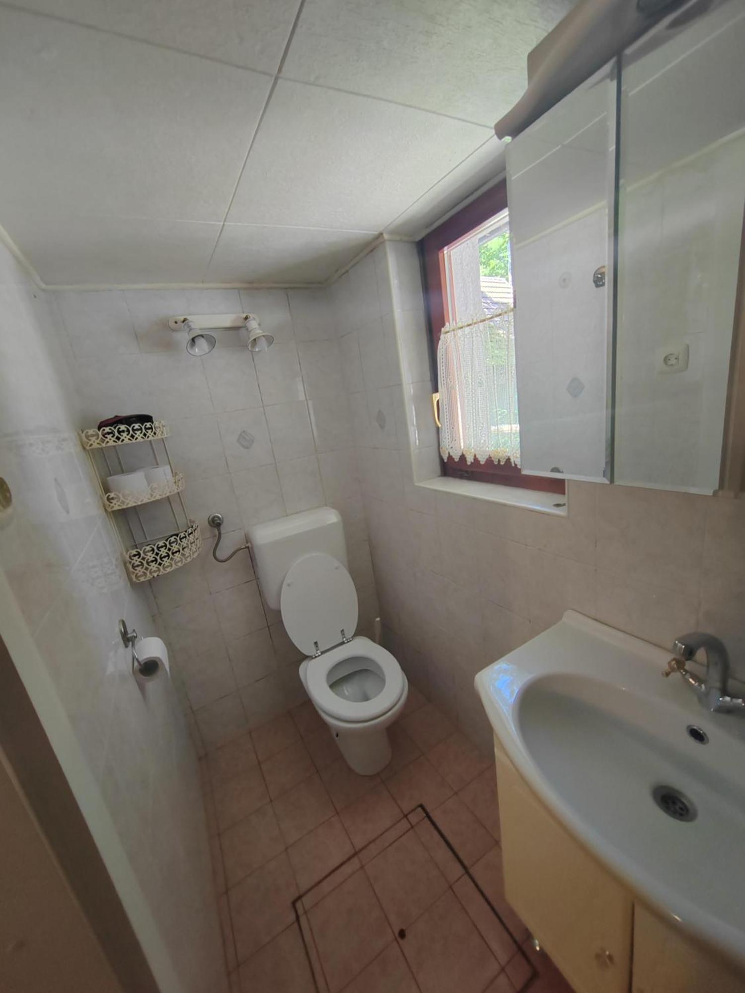 Koca Planika, Sviscaki Villa Ilirska Bistrica Exteriör bild