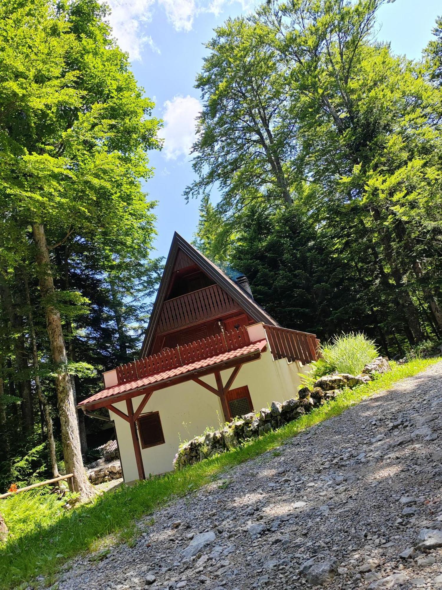 Koca Planika, Sviscaki Villa Ilirska Bistrica Exteriör bild