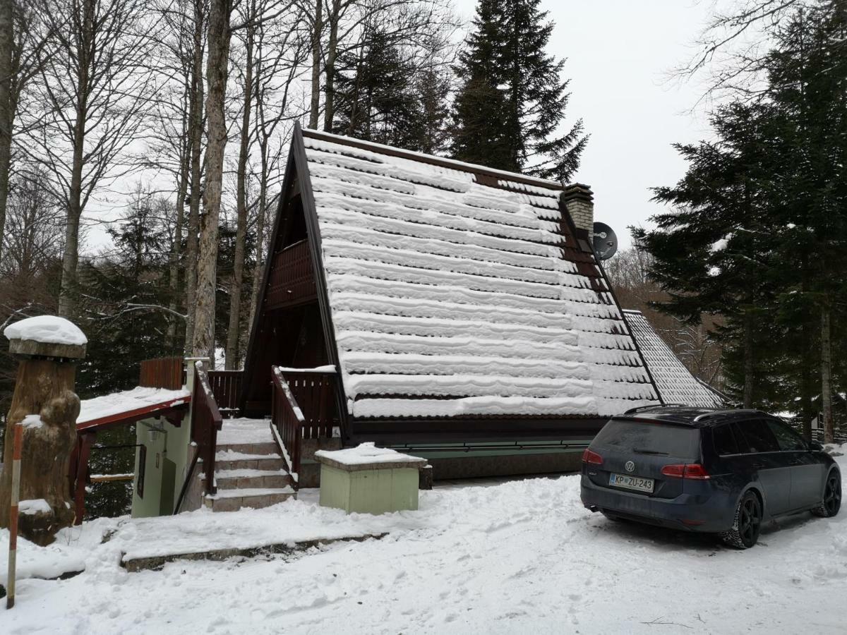 Koca Planika, Sviscaki Villa Ilirska Bistrica Exteriör bild